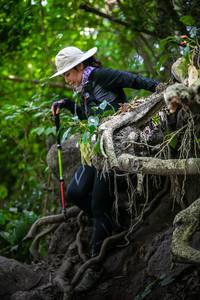 BIB: 
                            <button type="button" onclick="openModal(13667794)" class="btn btn-primary btn-sm float-right btn-popup" data-toggle="modal" data-target=".modal-high-quality">
                        <i class="fas fa-shopping-cart"></i> Add to Cart
                    </button>
                                            <button type="button" onclick="isThisMe(13667794, true)" class="btn btn-success btn-sm float-right btn-popup btn-isme hidden" data-toggle="tooltip" data-placement="bottom" title="นี่คือรูปของคุณใช่ไหม คลิกที่นี่เพื่อเอาเข้าอัลบั้ม">
                        <i class="fas fa-plus"></i> Add to album
                    </button>
                    <button type="button" onclick="isThisMe(13667794, false)" class="btn btn-warning btn-sm float-right btn-popup btn-isnotme hidden">
                        <i class="fas fa-ban"></i> Remove from album
                    </button>